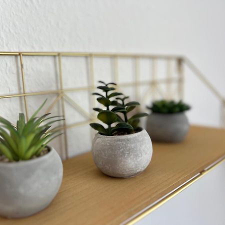 Apartmán Auszeit Bergliebe Winterberg Exteriér fotografie