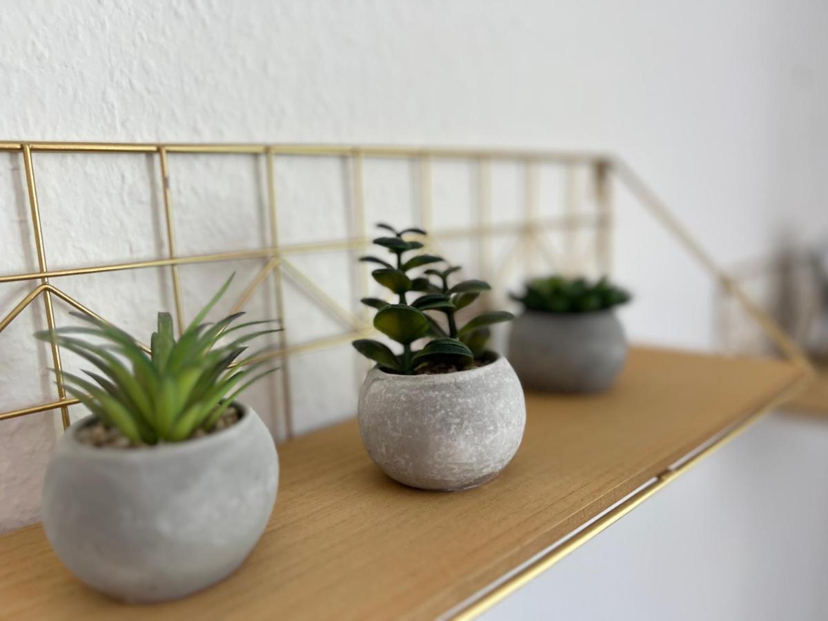 Apartmán Auszeit Bergliebe Winterberg Exteriér fotografie